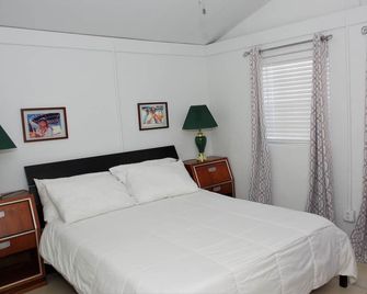 Screaming Reels Guest House Grand Turk Amazing bungalow with AC in Cockburn Town - Cockburn Town