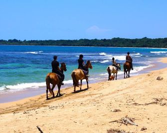 Physis Caribbean Bed & Breakfast - Cocles - Beach