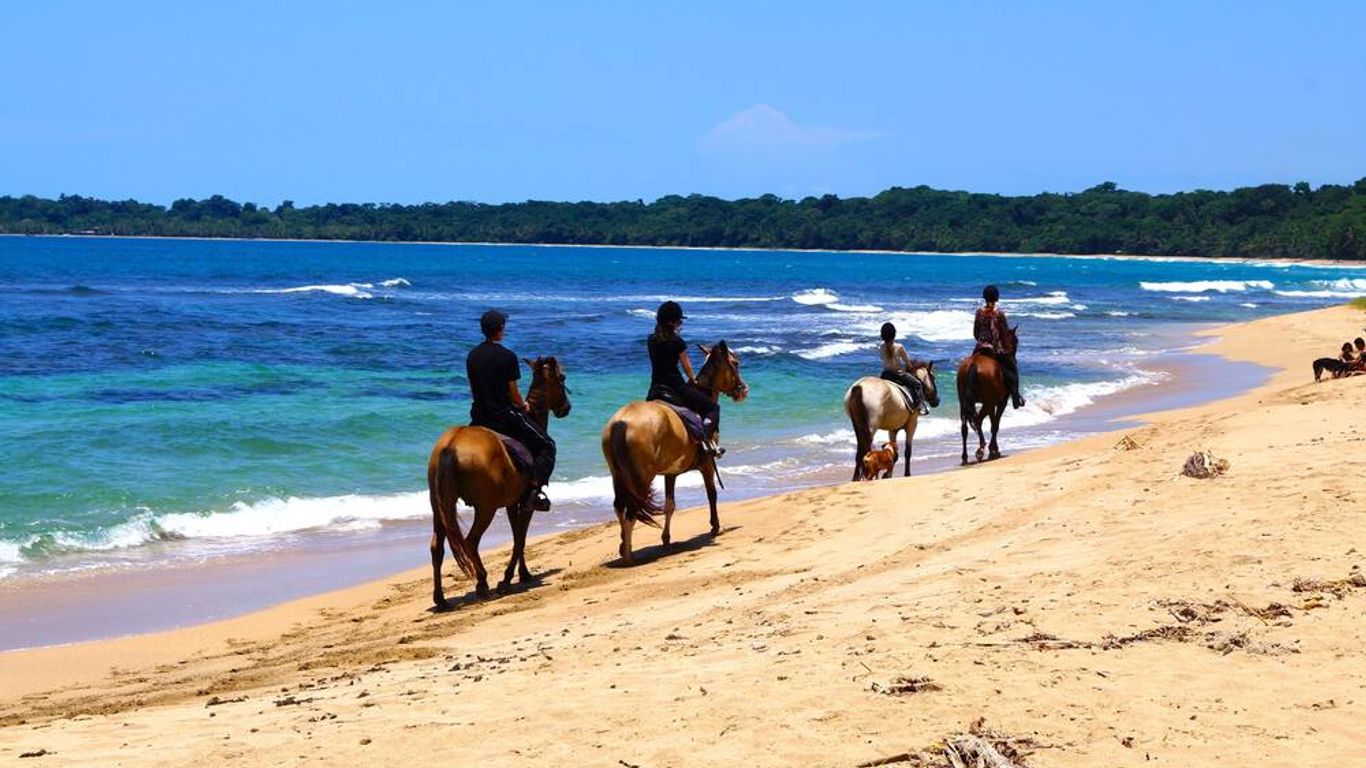 Physis Caribbean Bed & Breakfast