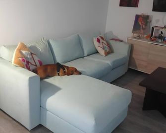 El Encanto del Casco for 4 passengers + 2 parking spaces - Zaragoza - Living room