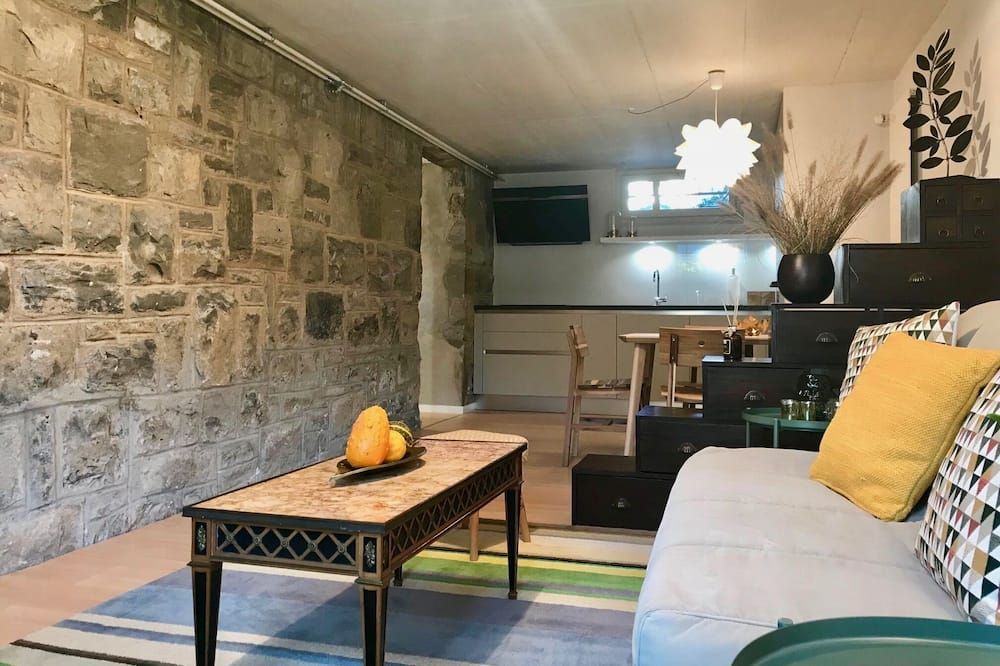 Deluxe Apartment in Geneva center district. (Petit-Saconnex) - جنيف - غرفة معيشة