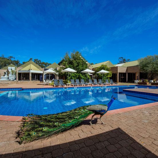 Pool view of DoubleTree by Hilton Hotel Alice Springs