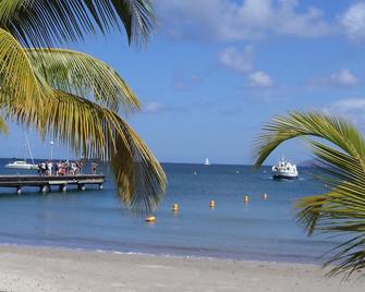 Courbaril Hôtel - Les Trois-Îlets - Strand