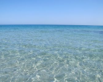 Amfibietreks - Siniscola - Strand