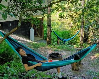 Pet friendly Little House, Fire pit, paddle boat, 2 hammocks, porch swing, grill - Brevard - Patio