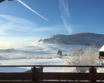 Fewo-Dorf - Bernau im Schwarzwald - Balkon