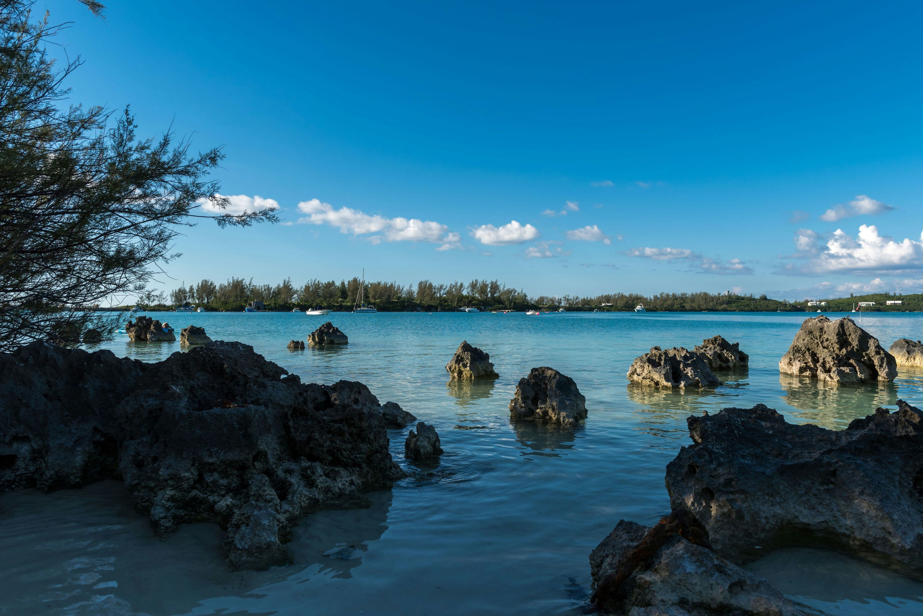 Grotto Bay Beach Resort - המילטון - חוף