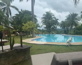 El Sabanero Eco Lodge - Tamarindo - Pool
