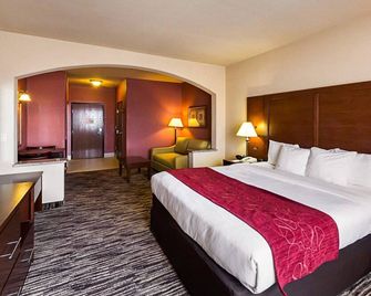 Comfort Suites McAllen Airport and La Plaza Mall - McAllen - Bedroom