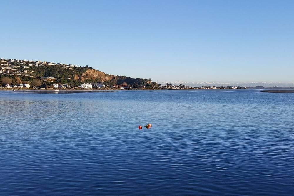 Modern 1BR Apartment near Sumner Beach - כרייסטצ'רץ' - חוף