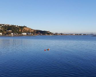 Modern 1BR Apartment near Sumner Beach - כרייסטצ'רץ' - חוף