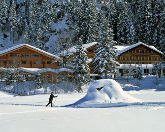 Waldhotel Doldenhorn - Kandersteg - Building