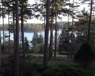 Inn to the Woods - Friday Harbor - Utsikt