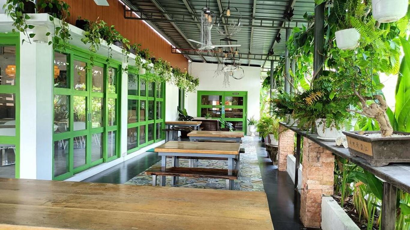 Vivo Siargao