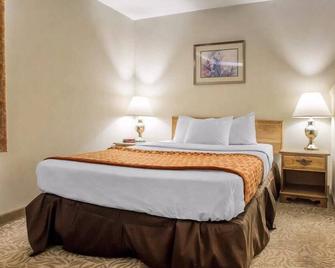 Econo Lodge Inn & Suites - Stevens Point - Bedroom
