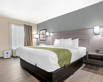 Quality Inn Foley - Gulf Shores North - Foley - Soveværelse