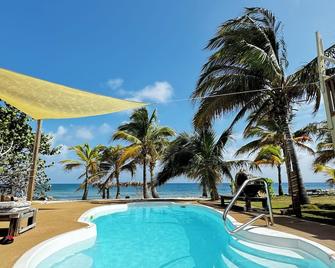 5-bdm beachfront villa w/ pool, cabana, hammocks, sunsets, BBQ & more, see pics! - West End