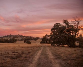 Secluded Tiny Home with Wild Yoga Retreat near Malmsbury, Macedon Ranges Victoria - Metcalfe - Vista del exterior