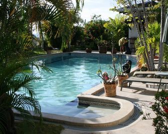 Ocean View Villa With Pool - Villas Casa Loma - Suite 302 - Playa Flamingo - Piscine