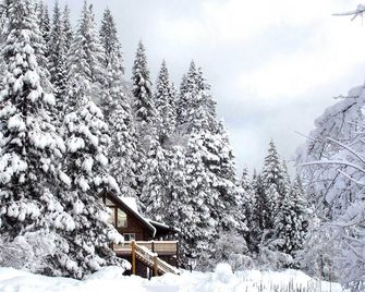 13 Mi to Mt Shasta: Log Home on 60 Acres! - McCloud - Outdoors view