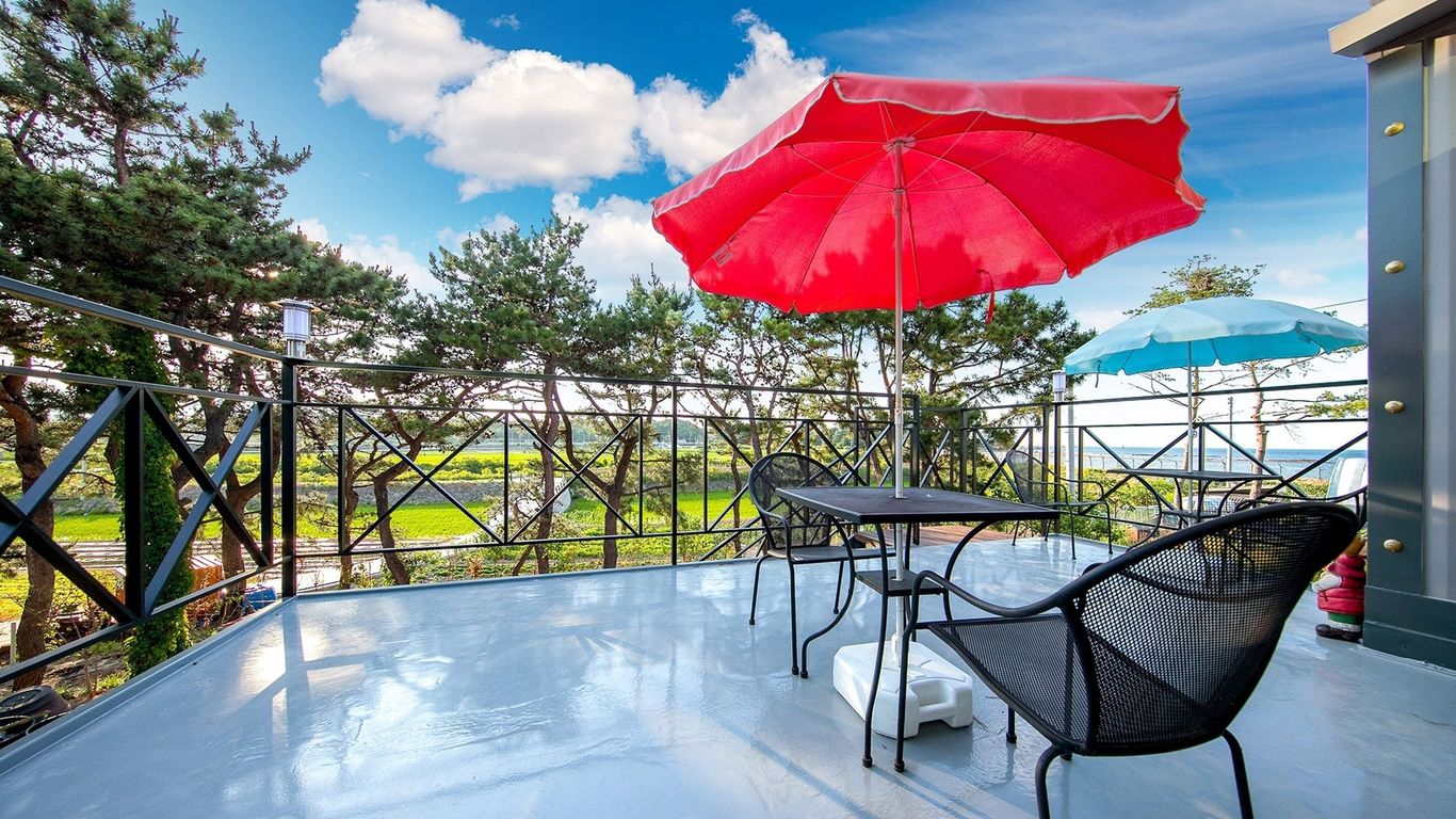 고성 바닷가펜션 크리스마스 애견동반