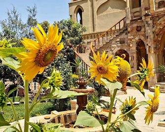 Embrace Hotel - Luxor - Outdoors view