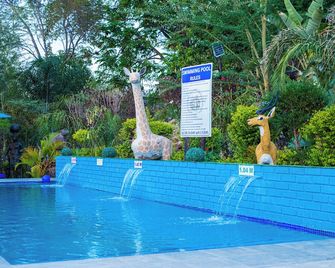 uPhondo Lodge - Bulawayo - Pool