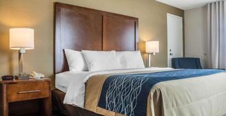 Comfort Inn The Pointe - Niagara Falls - Bedroom