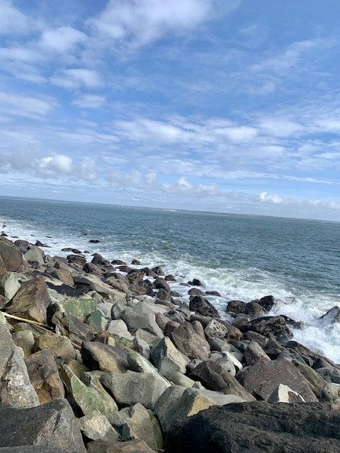 Grey Gull - Ocean Shores - Spiaggia