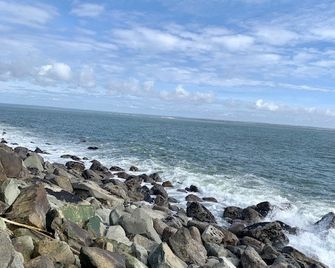 Grey Gull - Ocean Shores - Spiaggia
