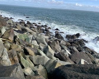 Grey Gull - Ocean Shores - Spiaggia