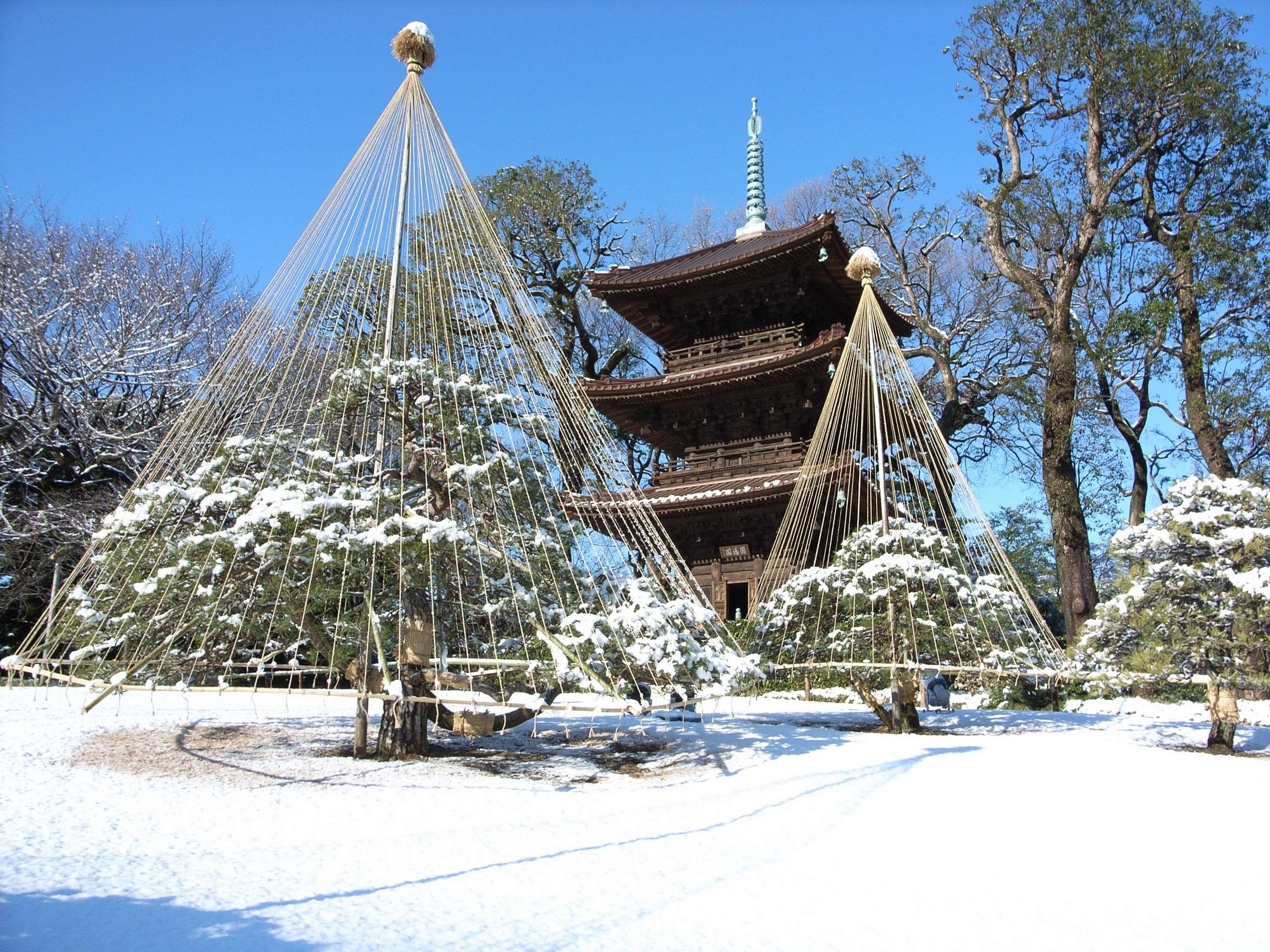 ホテル椿山荘　羽枕 キングサイズ 20x36インチ ホテル椿山荘 羽枕 キングサイズ 20x36インチ