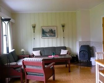 Hi Borlaug Vandrerhjem - Laerdal - Living room