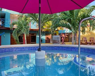 The Ritz Hostel - Willemstad - Piscina