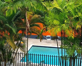 Queen's Comfort Inn - Puerto España - Piscina