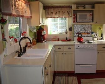 Cozy Cottage in Historic Silver Plume - Silver Plume - Cocina