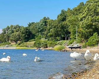 Waterfront Escape With Magical Vibes! - East Hampton - Beach