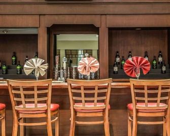 Regency Inn and Suites - Handicapped Non Smoking with Mobilty Access - New London - Bar