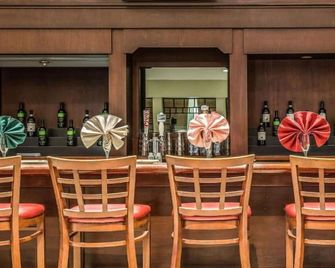 Regency Inn and Suites - Handicapped Non Smoking with Mobilty Access - New London - Bar