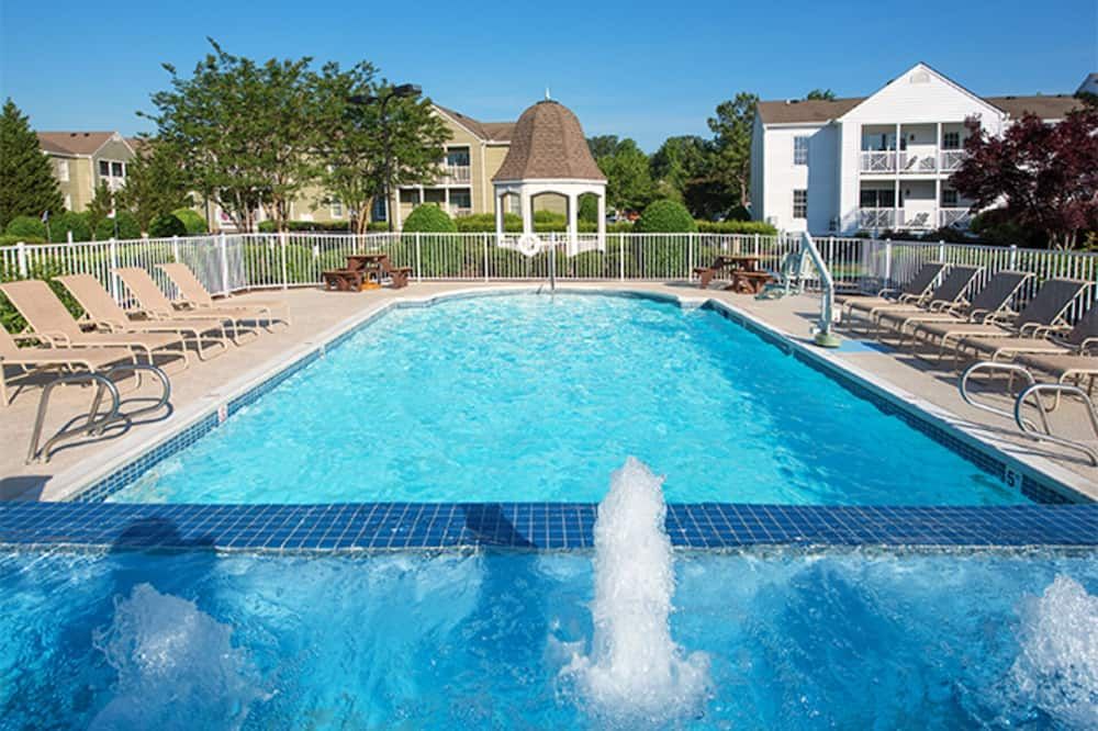 Save on your Stay in the Heart of Williamsburg - וויליאמסברג - בריכה