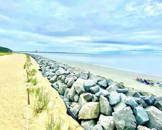Driftwood paradise, ocean view! - Jekyll Island - Beach