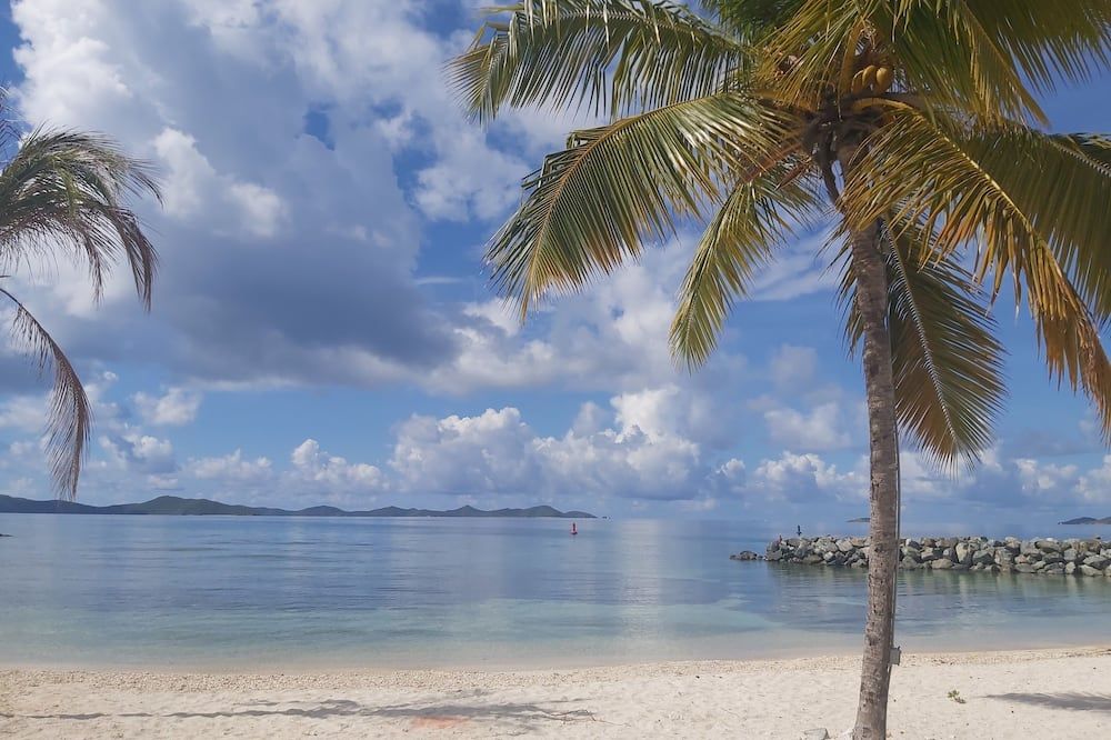 Nanny Cay Resort And Marina - Road Town - חוף