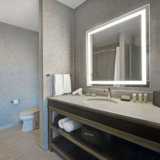 Bathroom view of Embassy Suites by Hilton Rockford Riverfront