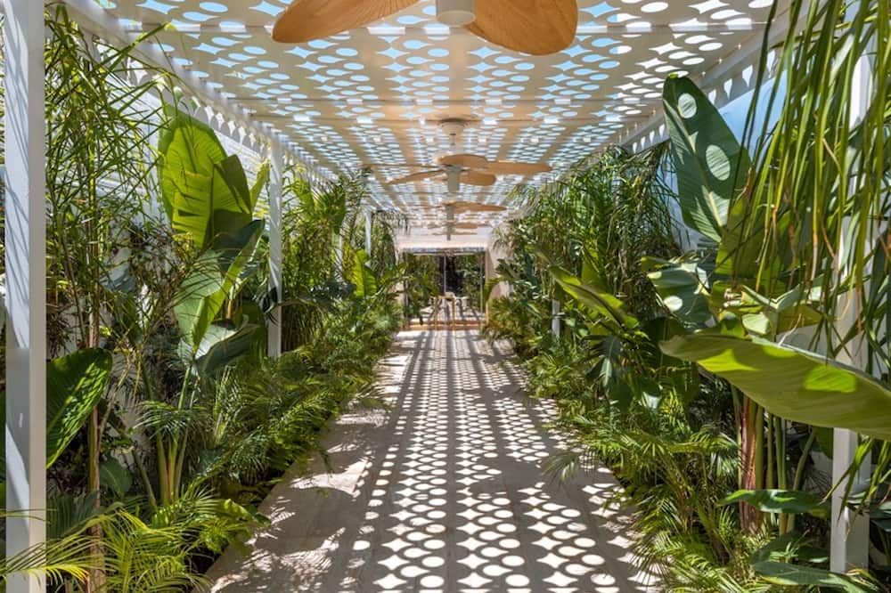 The Xon Hotel - צזמה