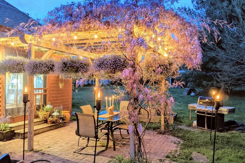 Wildflower Farm
