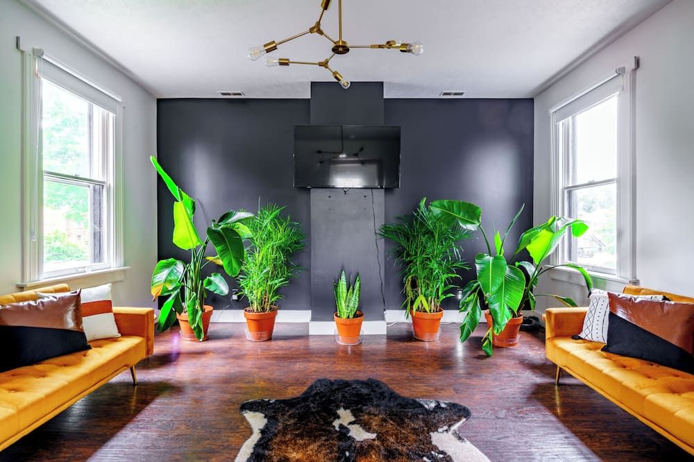 Jungle Thyme - Chillicothe - Lobby