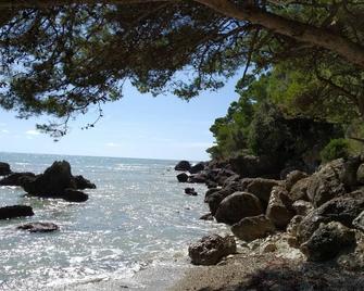 The Old Woodshed - Minturno - Spiaggia