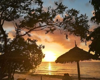 Pemba Paradise - Verani