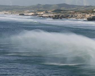 Spitzeseafront. .Beachfront, Whale watching - De Kelders - Ranta