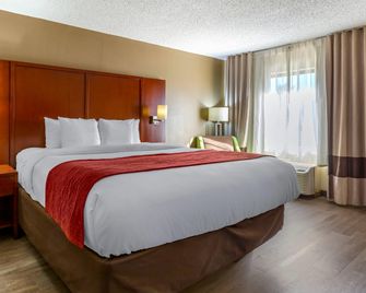 Comfort Inn Fort Mill Amusement Park at Carowinds Blvd - Fort Mill - Slaapkamer